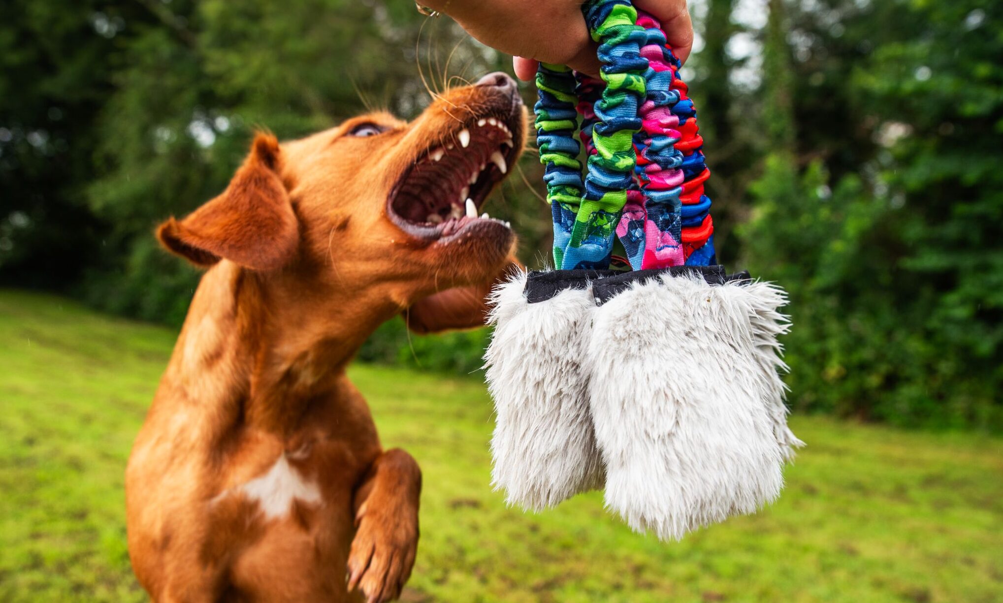 Tug-E-Nuff launches new Faux Fur Pocket Bungee Squeaker