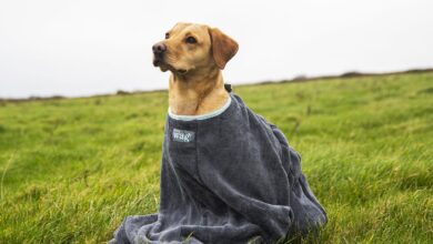 Henry Wag expands eco-friendly drying range with GRS-certified materials