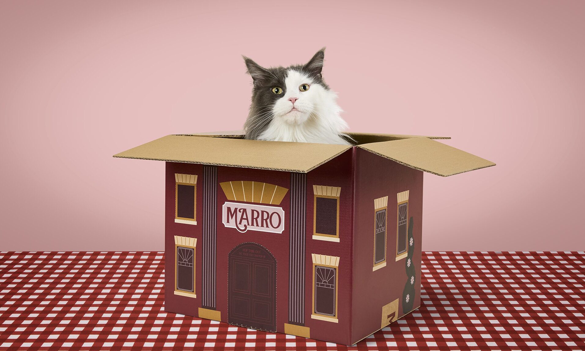 Fresh cat food brand Marro launches in UK