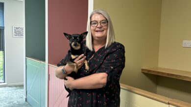 Bella and Duke appoints in-house veterinary advisor