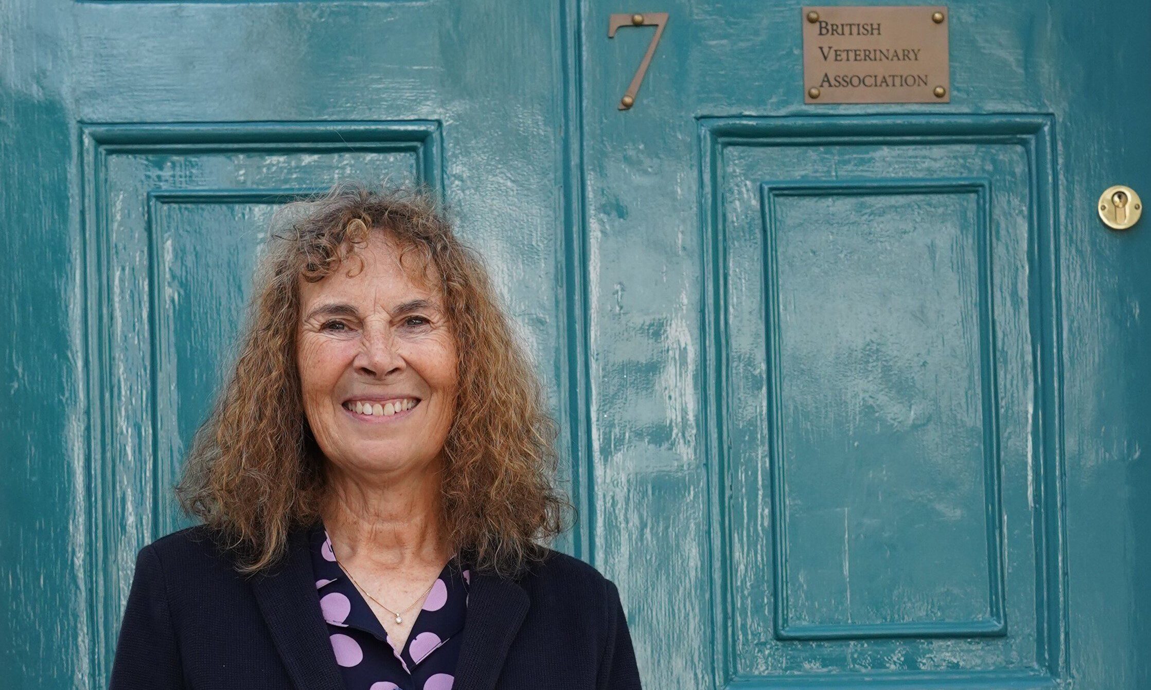 BVA appoints new president