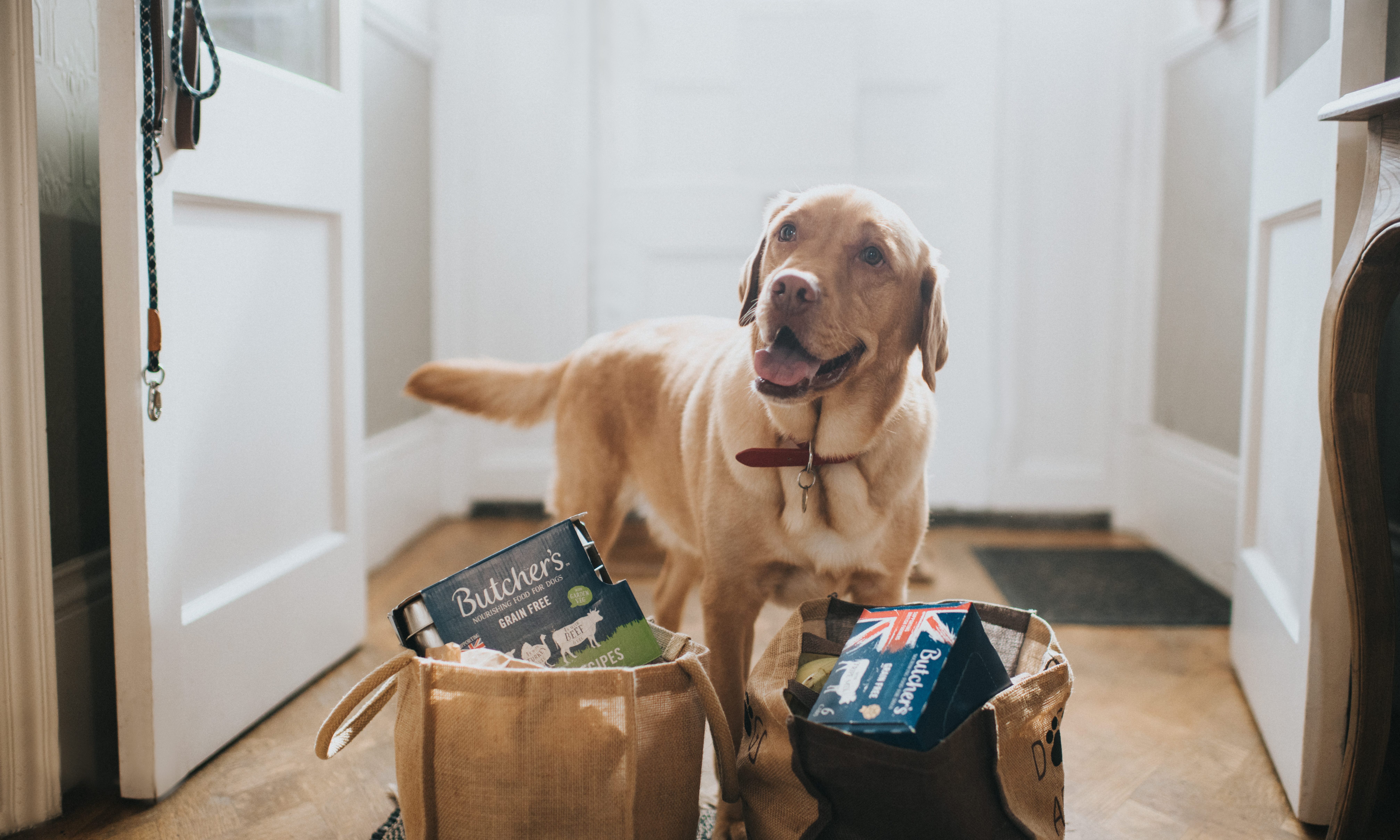 Butchers Pet Care acquired by Inspired Pet Nutrition