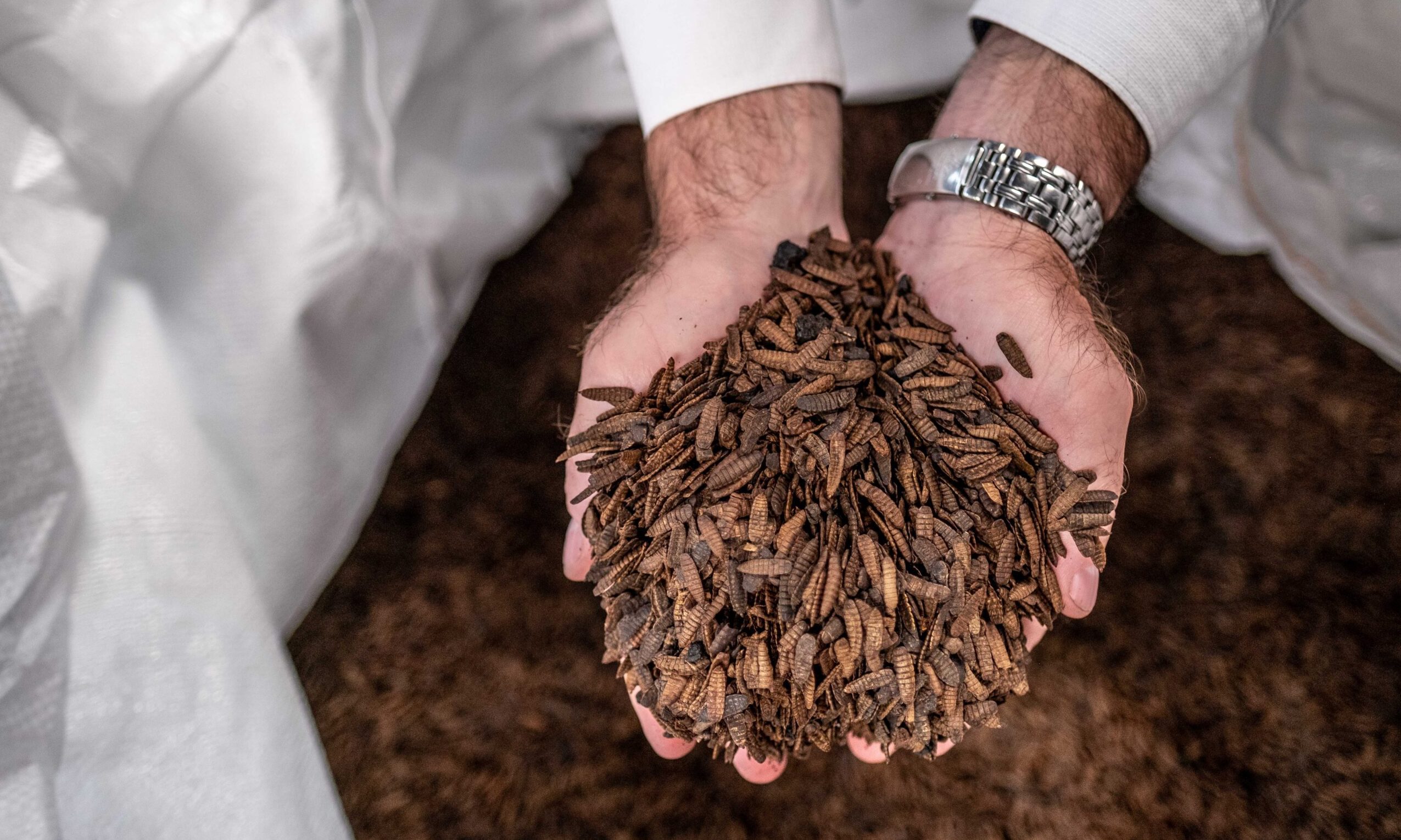 Maltento expands global footprint to EU and UK