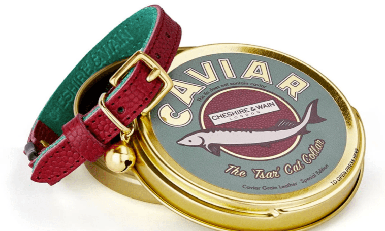 Wolf and Badger launches new Pets Category