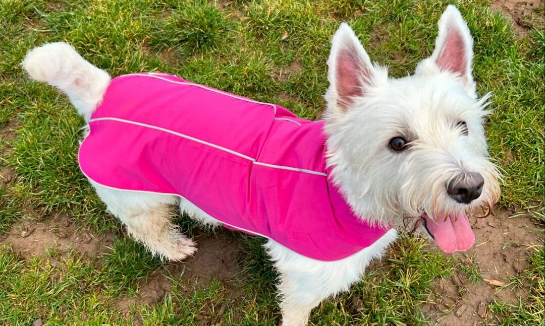 Doodlebone launches dog jackets