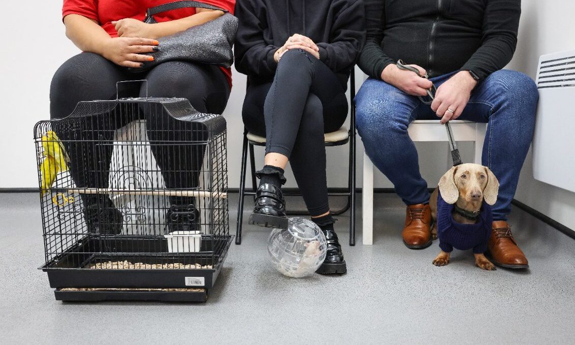 Jollyes launches new careers website