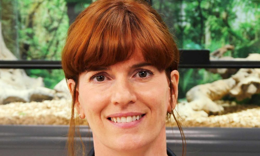 Casco Pet appoints new UK sales lead