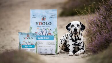 YDOLO launches in UK and Ireland