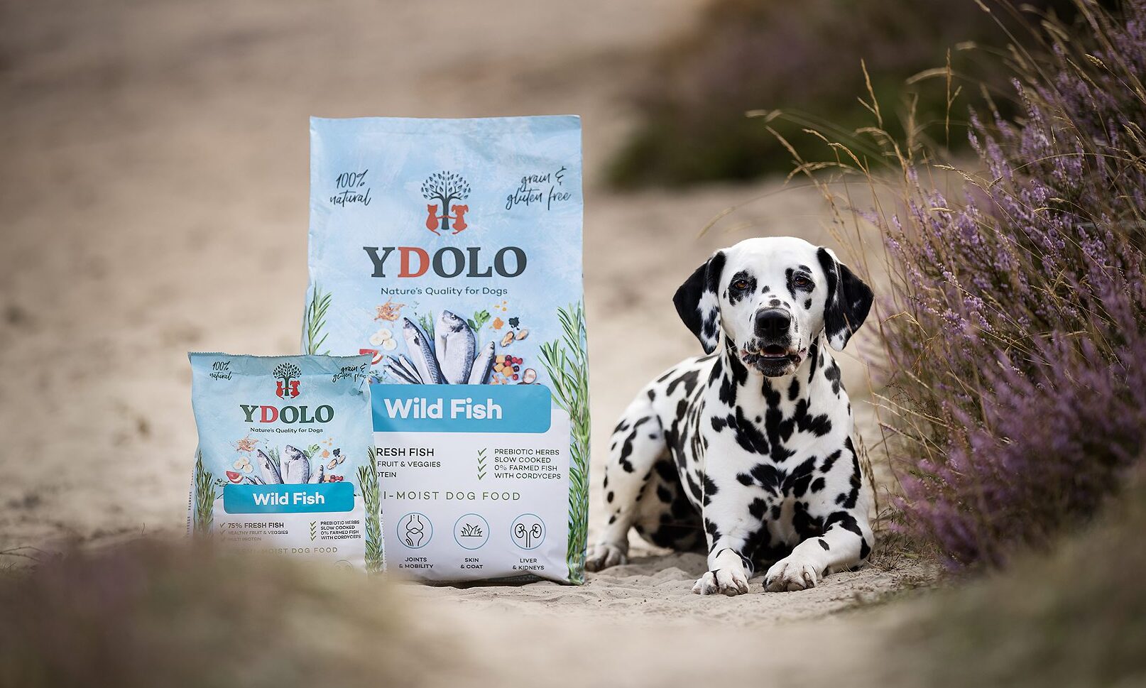 YDOLO launches in UK and Ireland