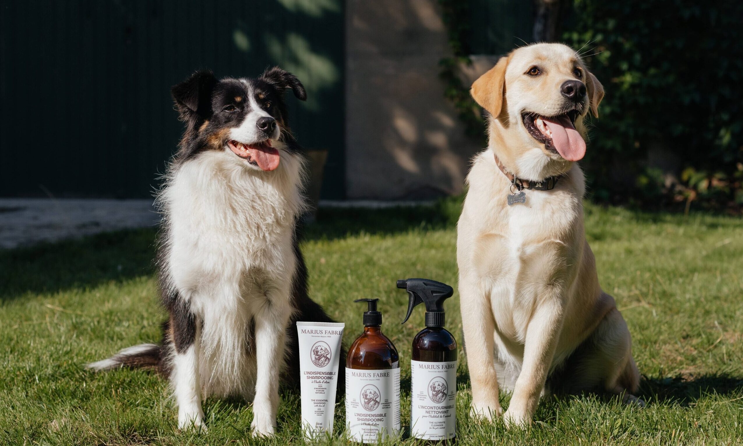 Marius Fabre launches new pet range in the UK