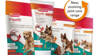 Beaphar expands joint supplement range with Flexifit