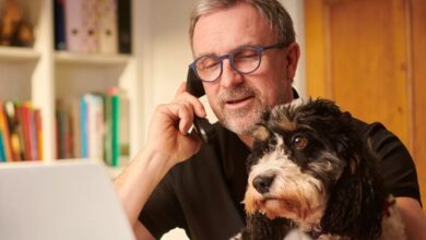 UK pet industry writes to chancellor over budget concerns
