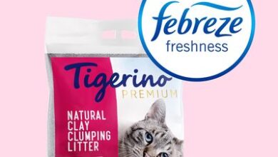 Zooplus launches new cat litter range with Febreze