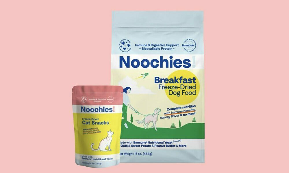 Noochies! to expand into Europe