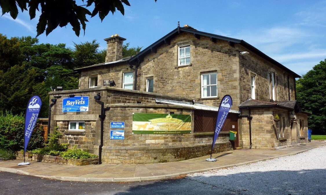 Bay Vets joins Linnaeus