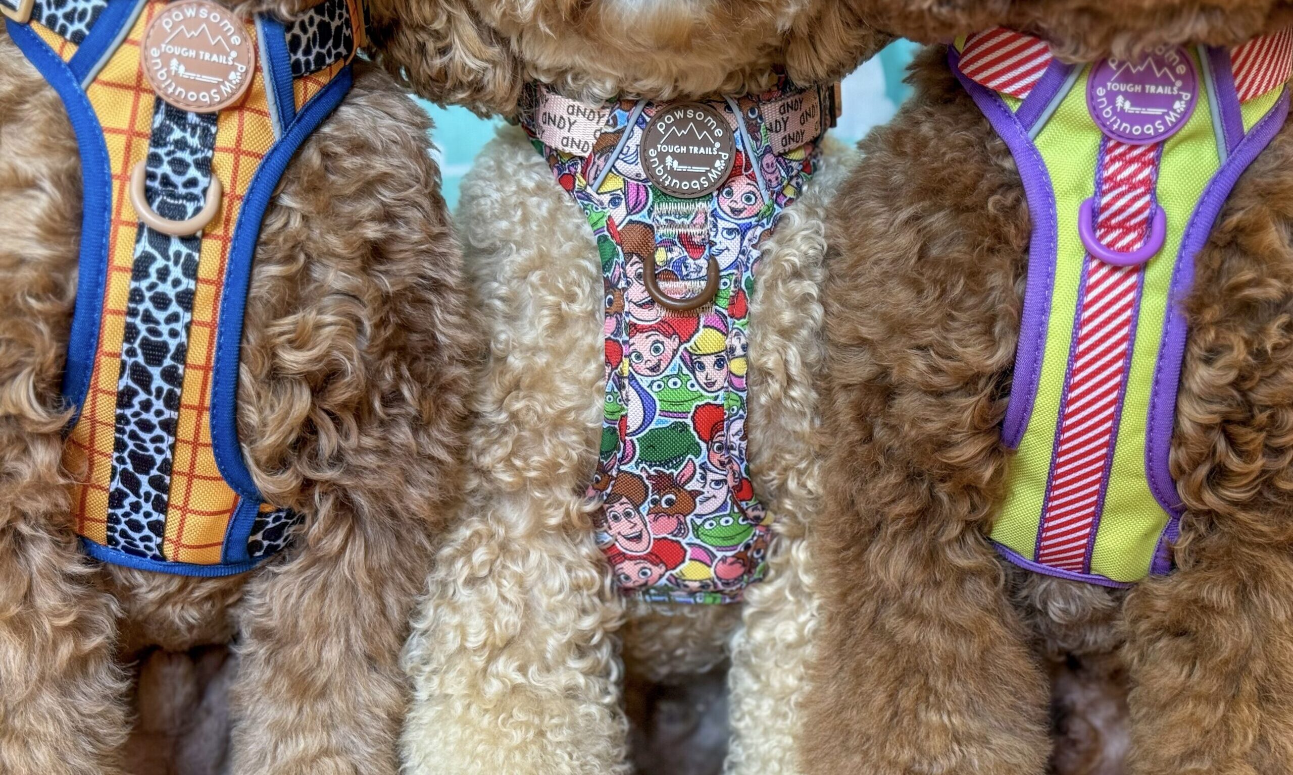 PPB launches Toy Story collection in Pets at Home stores