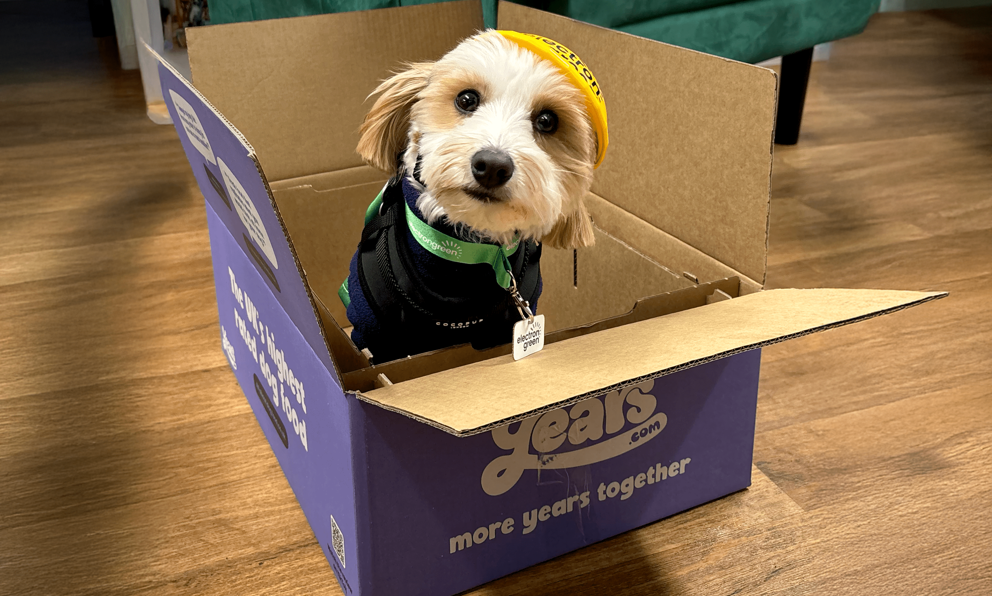 Years.com partners with Urban Logistics to power solar operations