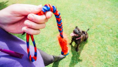 Tug-E-Nuff partners with raft of pet brands