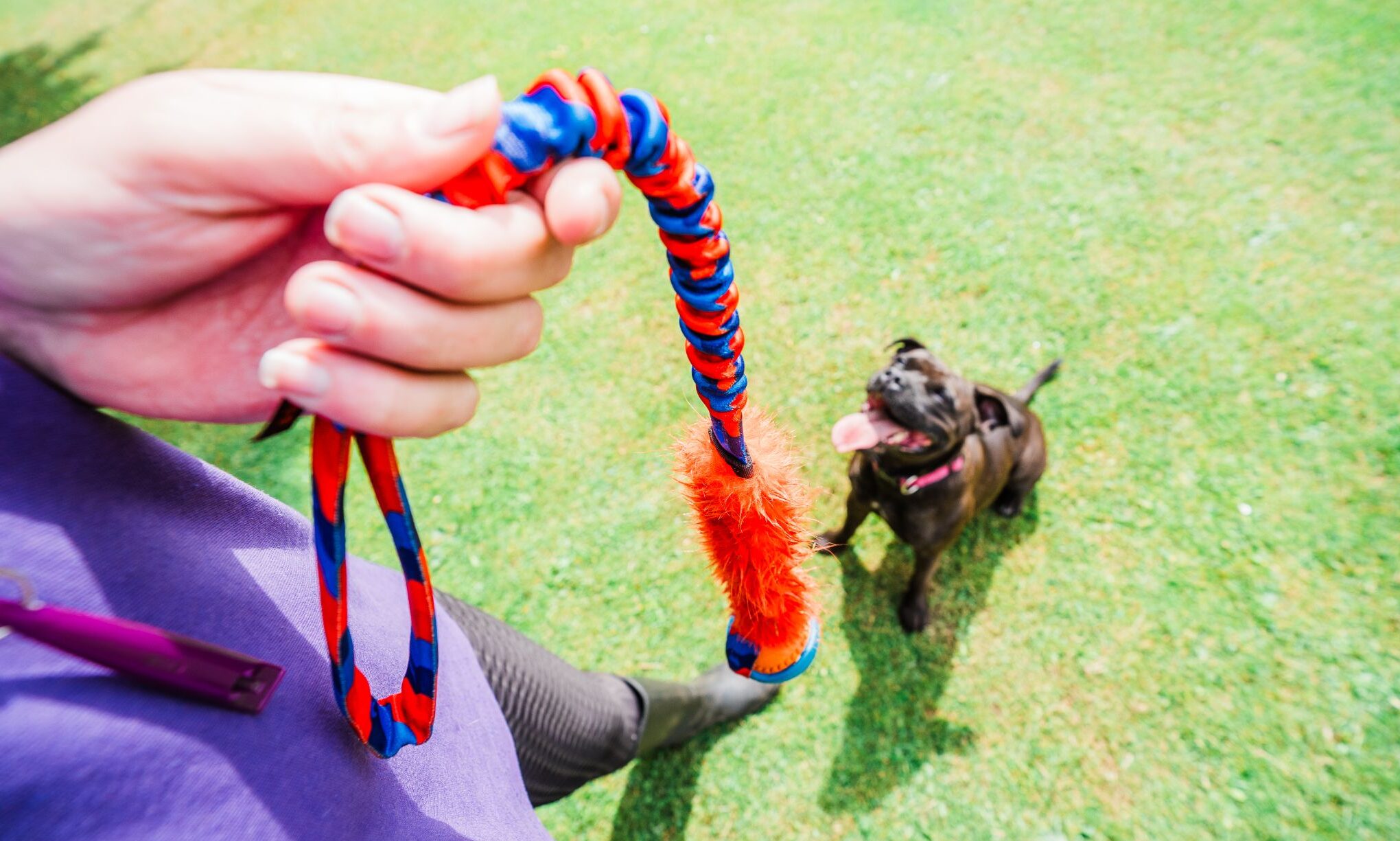 Tug-E-Nuff partners with raft of pet brands