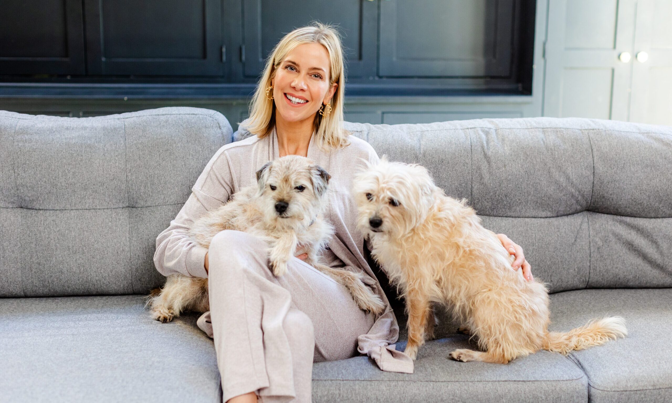 Ceva launches Pet Anxiety Month campaign