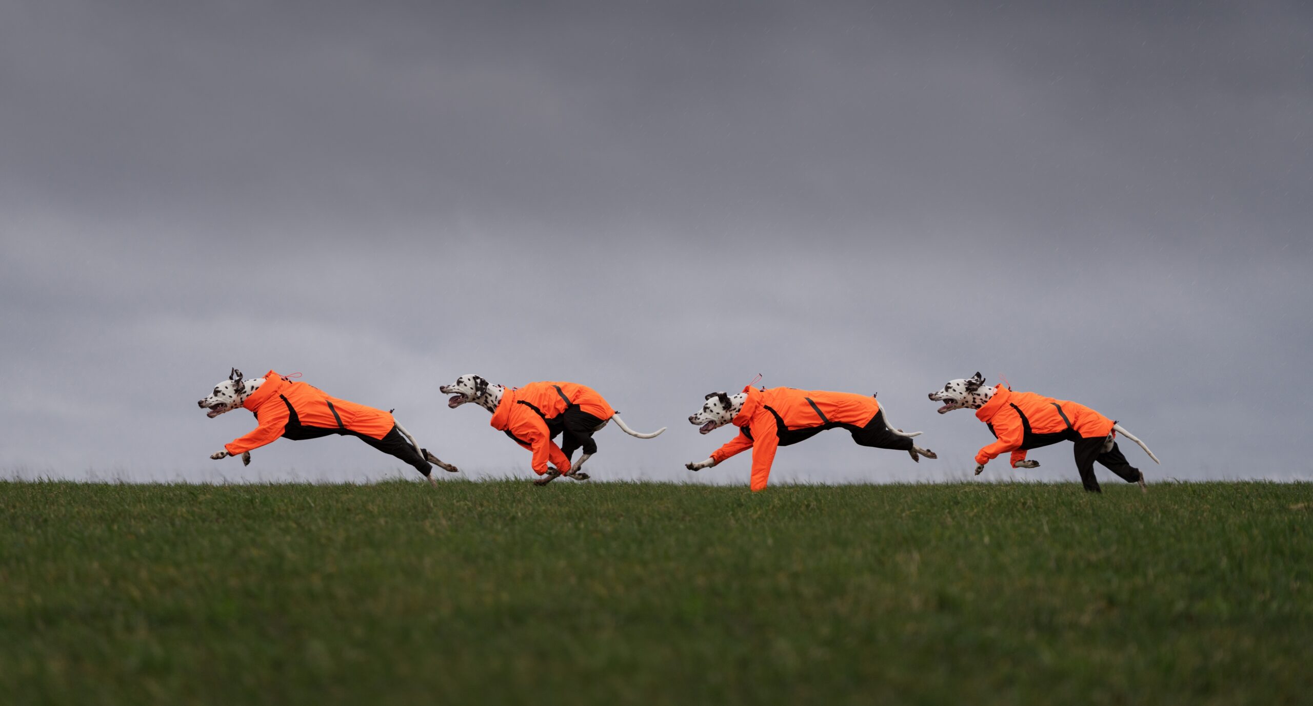 Non-stop Dogwear named one of Europe’s fastest growing companies