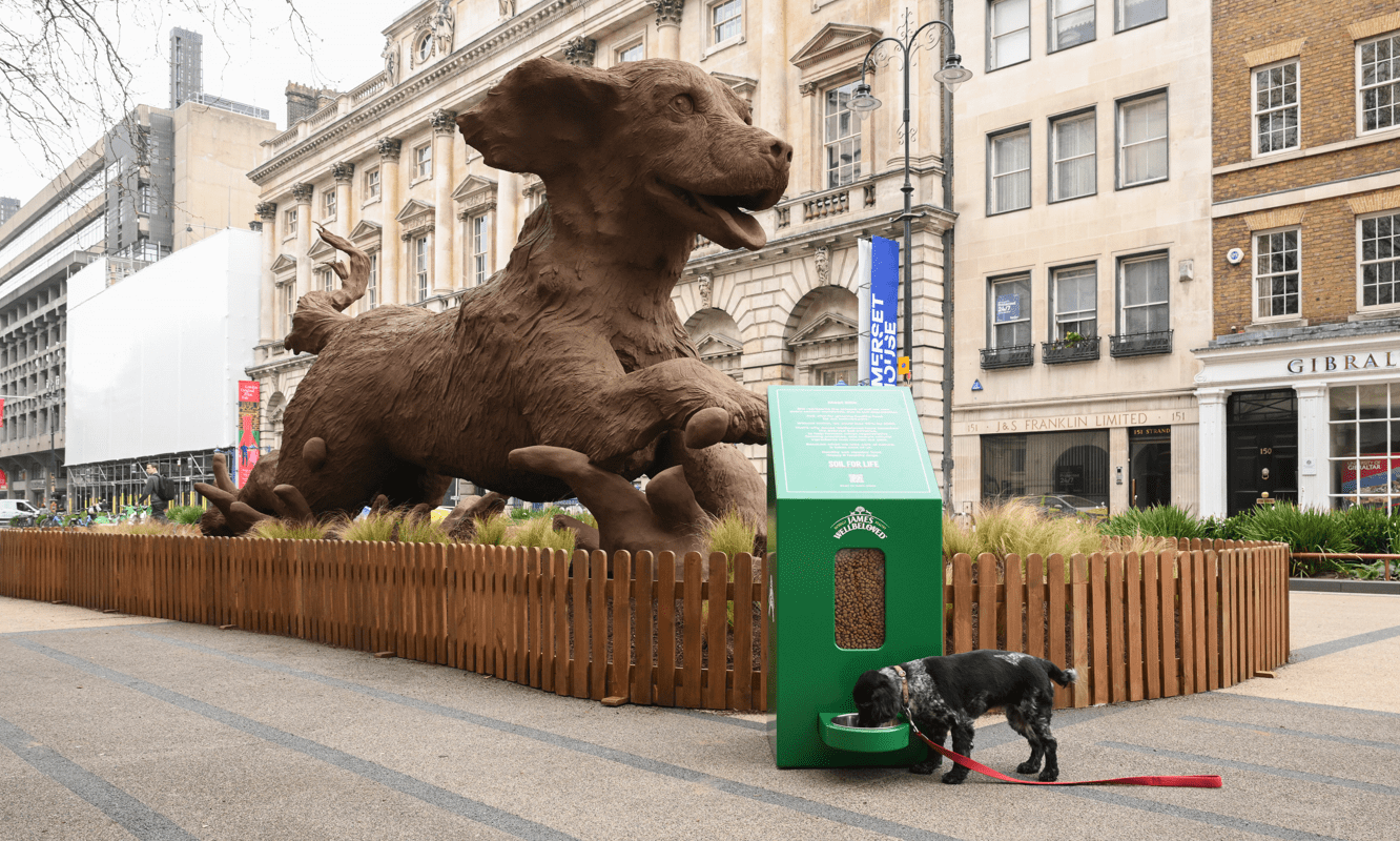 Only quarter of owners know where their pet food comes from, says Mars