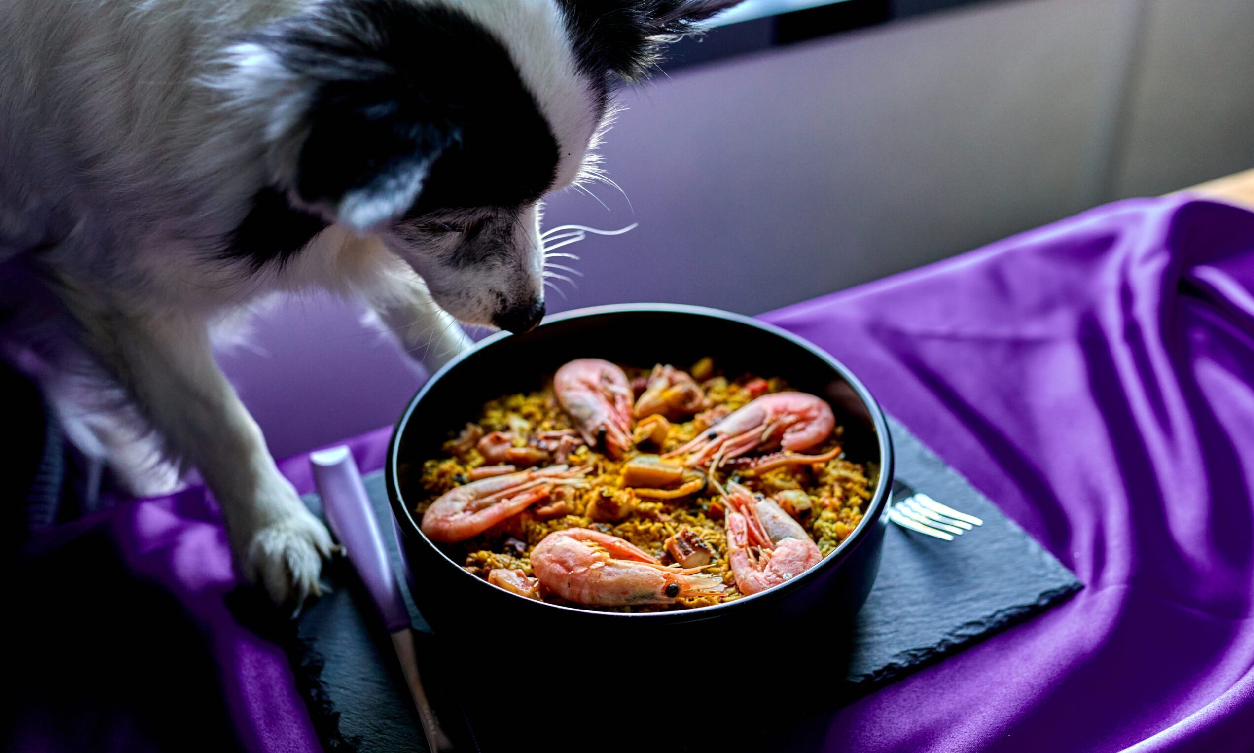 Years.com launches new King Prawn and Giant Squid Paella for dogs