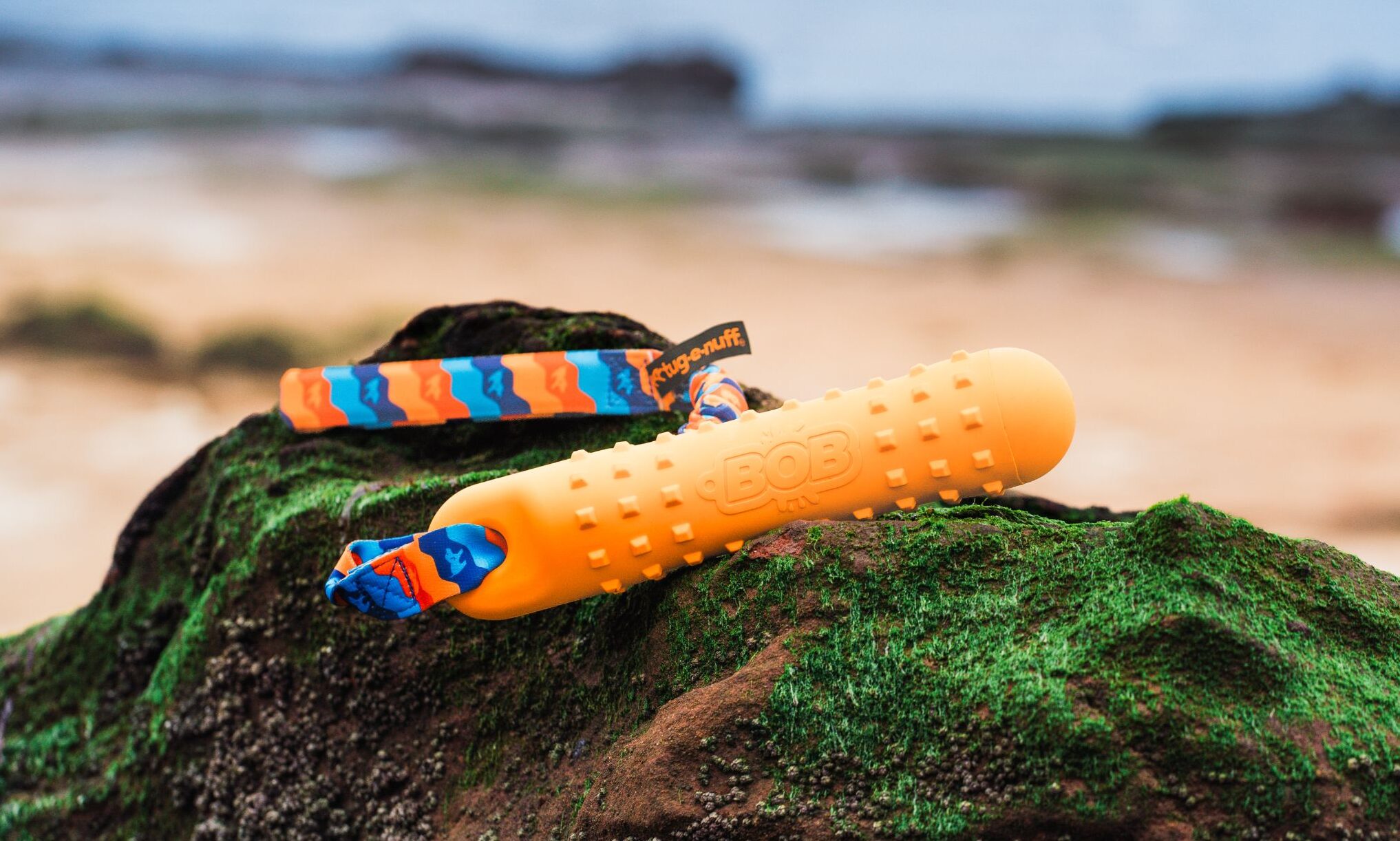 Tug-E-Nuff launches new Bob toy