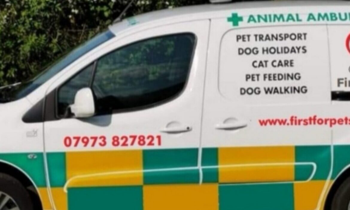 First For Pets seeks new owner