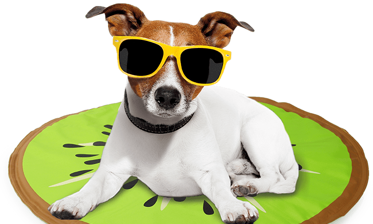 All for Paws expands cooling range