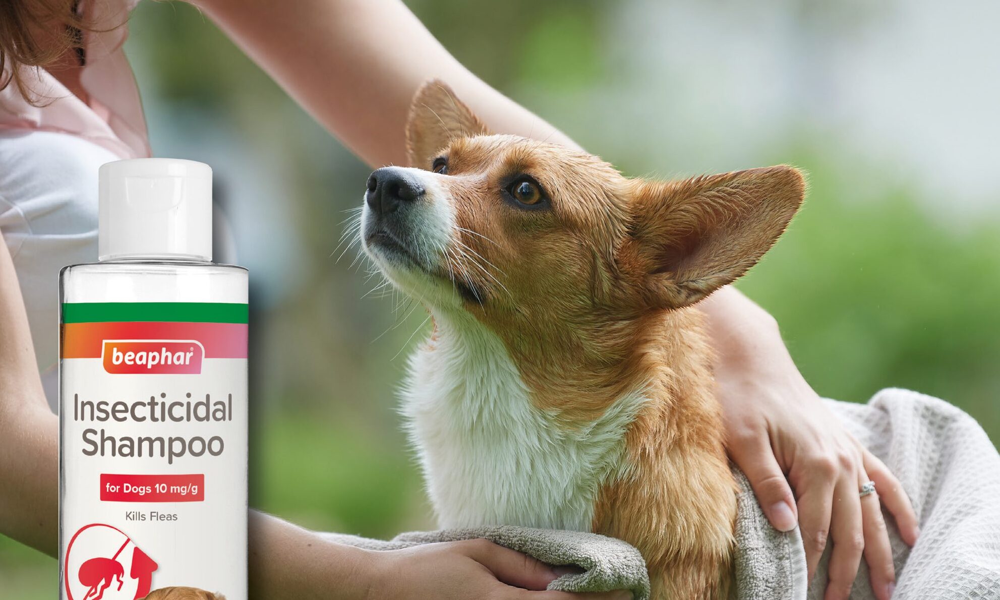Beaphar launches new Insecticidal Shampoo for Dogs
