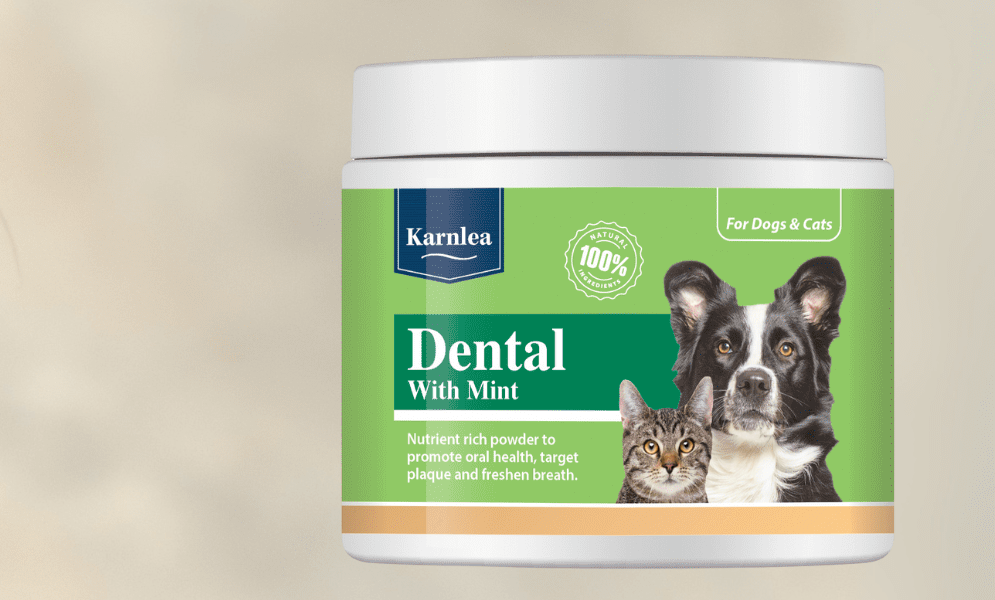 Karnlea launches Dental with Mint supplement