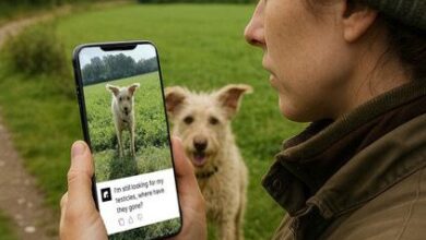 relaxAI unveils ‘PetTalk’ – AI feature that translates animals into human language