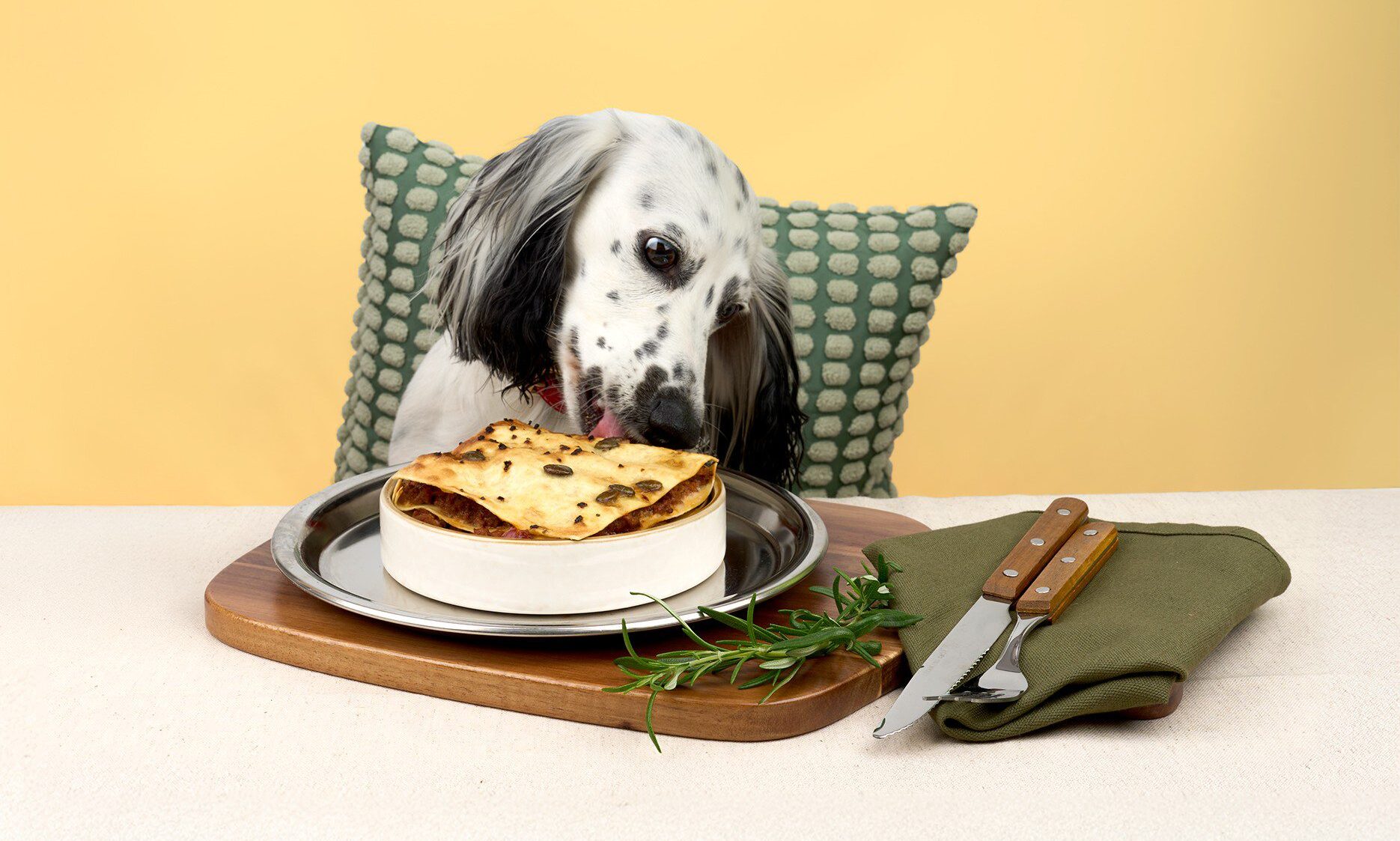 Years.com launches Wagyu Steak Lasagne for dogs