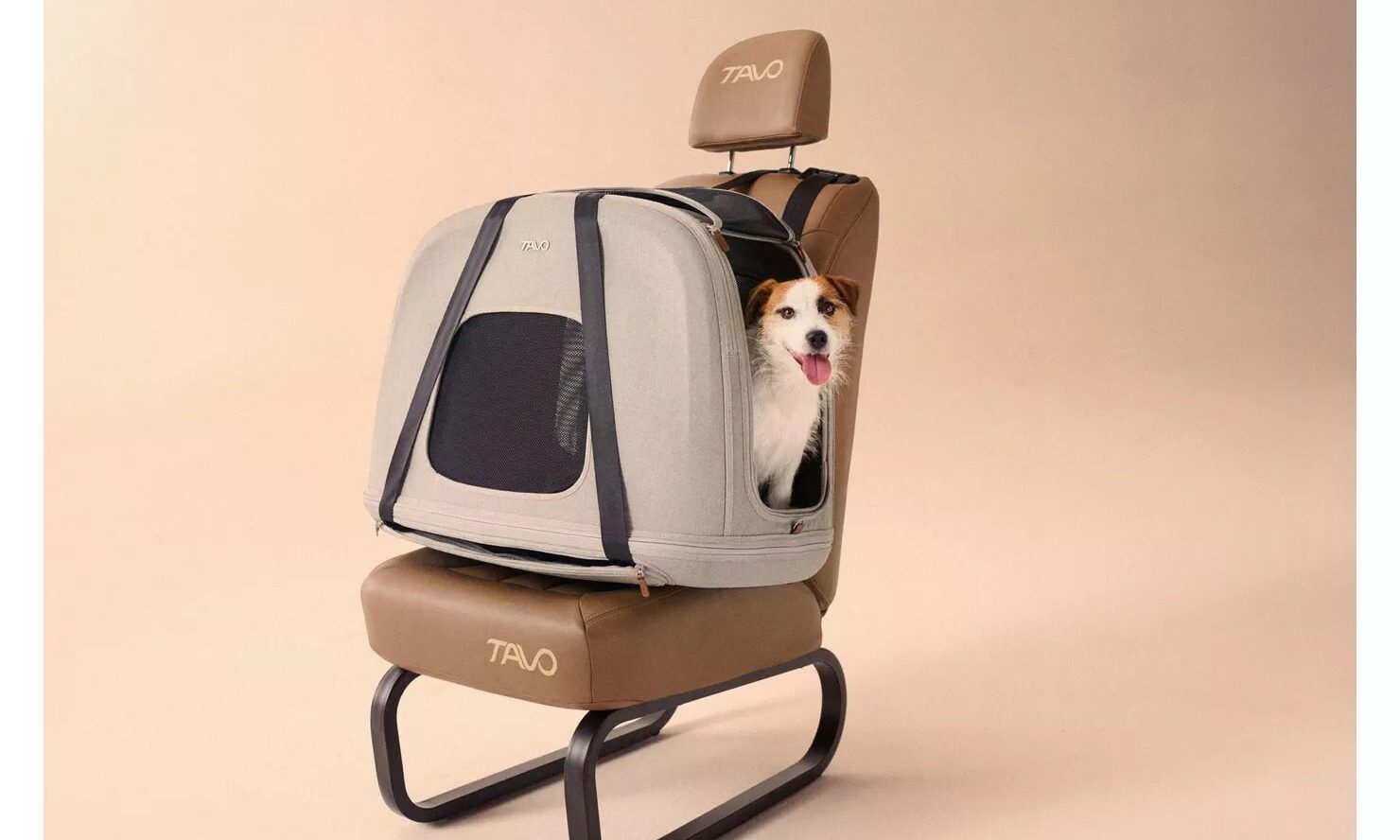 Tavo launches new Crispin Travel Crate for medium-sized dogs
