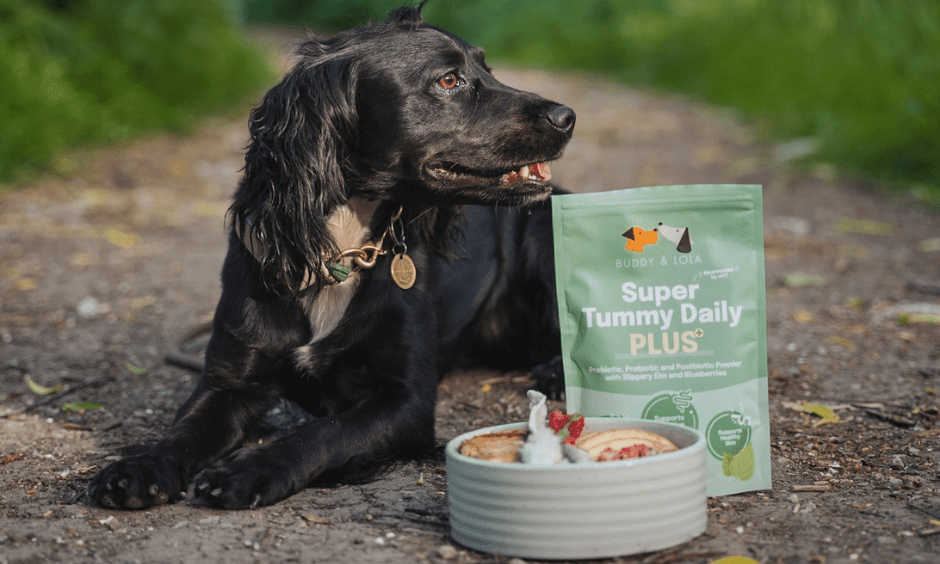 Buddy and Lola launches Super Tummy Daily Plus