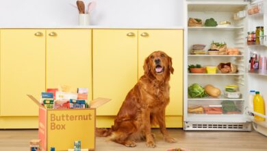 Butternut Box secures £64m in debt financing from Liquidity