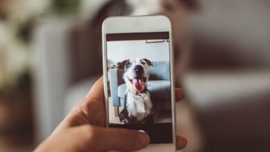 Mars launches AI-powered dental checks
