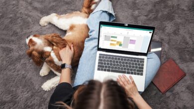 Work smarter, not harder: Three tips for pet care pros