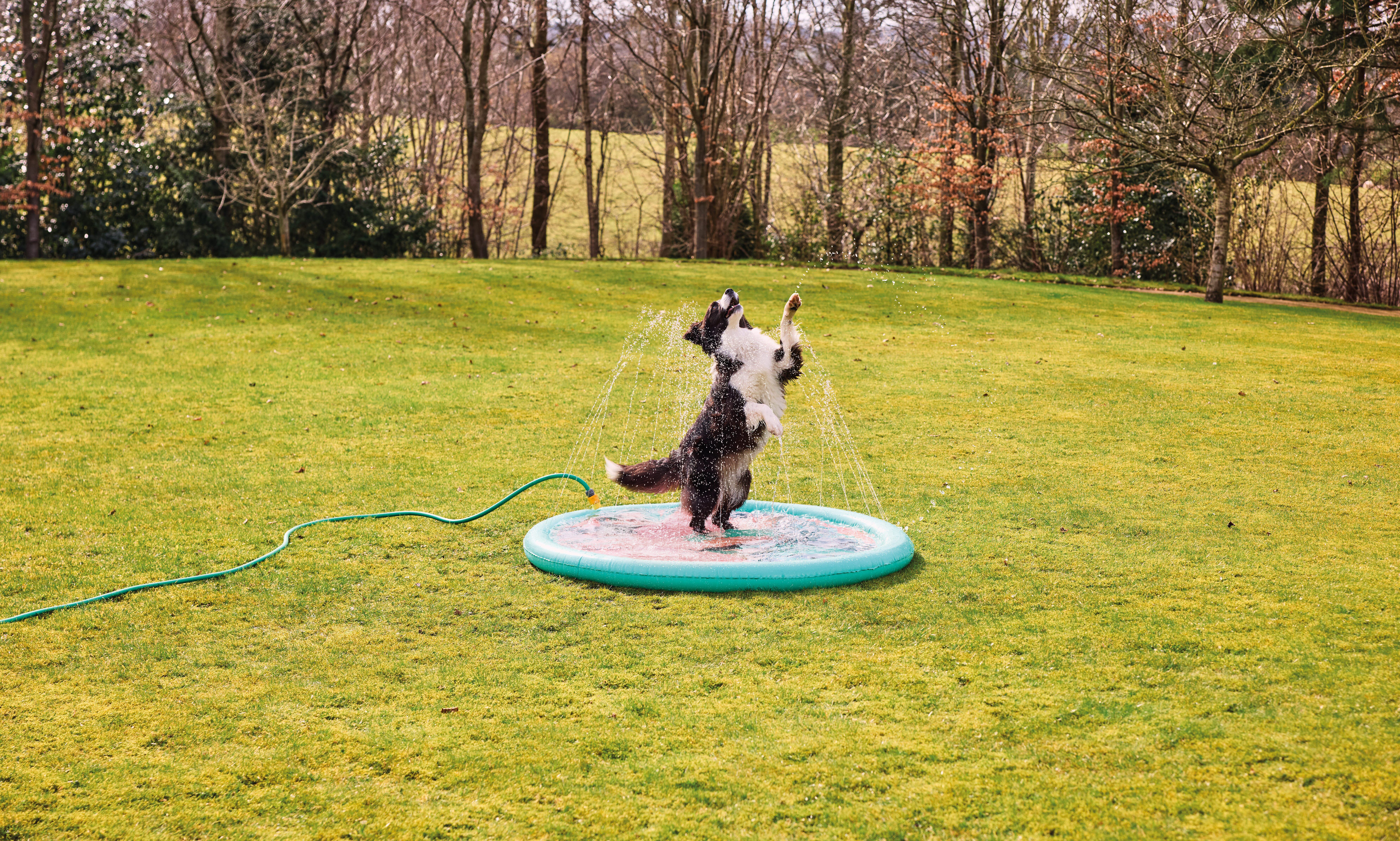 Aldi to relaunch its Cooling Pet Range this summer