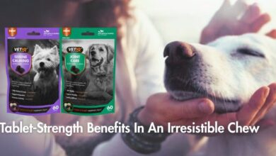 VETIQ launches premium Joint Care and Calming Supplement Chews for dogs