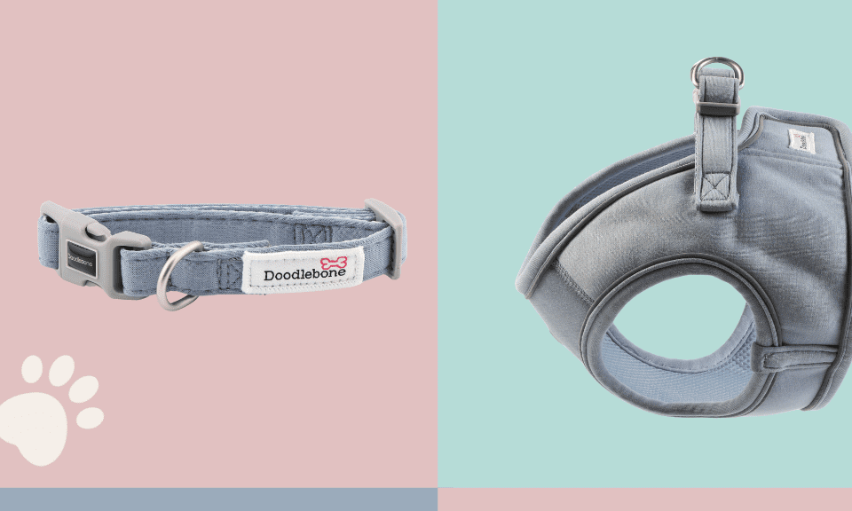 Doodlebone launches Dinky Dog collection