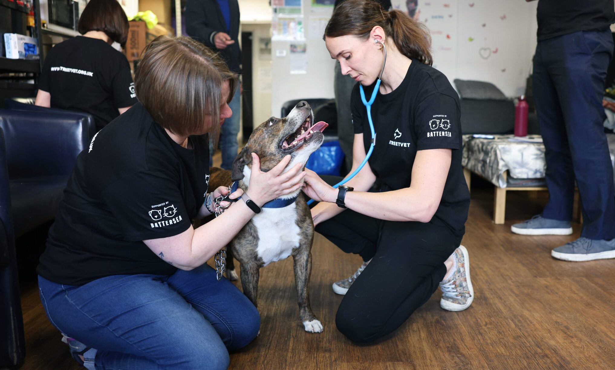StreetVet-Battersea alliance to provide free vet care for homeless pets