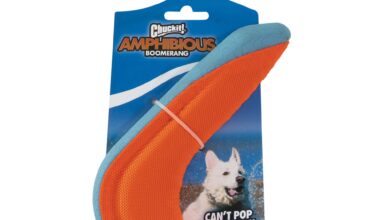 Chuckit launches amphibious boomerang toy