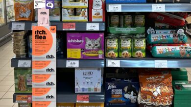 Itch expands into Sainsbury’s Local stores with flea treatment clip strips