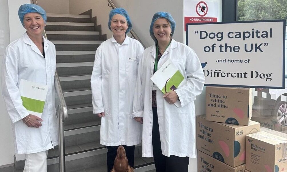 Different Dog partners with Good2Great on leadership scheme