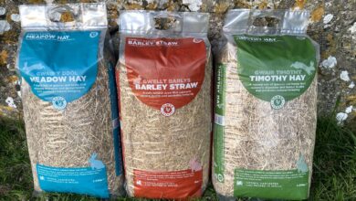 Gower Granary relaunches small animal range with bilingual branding