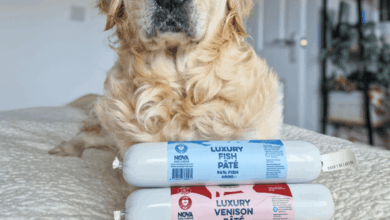 Nova Dog Chews launches new gluten and grain free pâté range