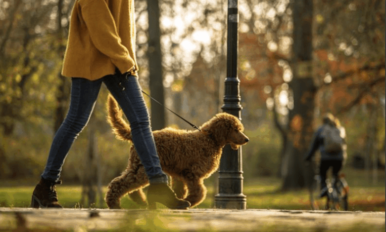 Mars expands global Better Cities for Pets programme