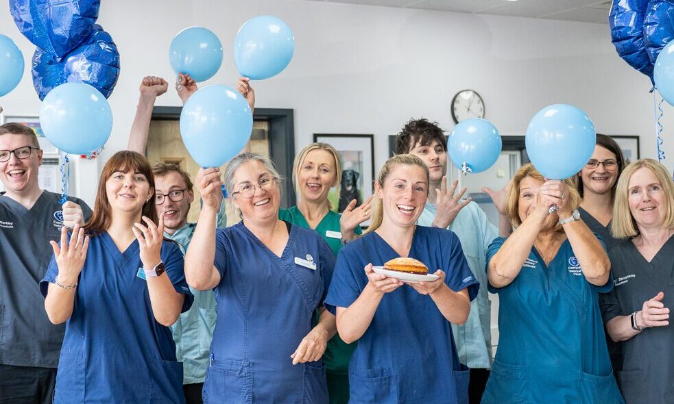 VetPartners opens new £1.7m clinic in South Wales